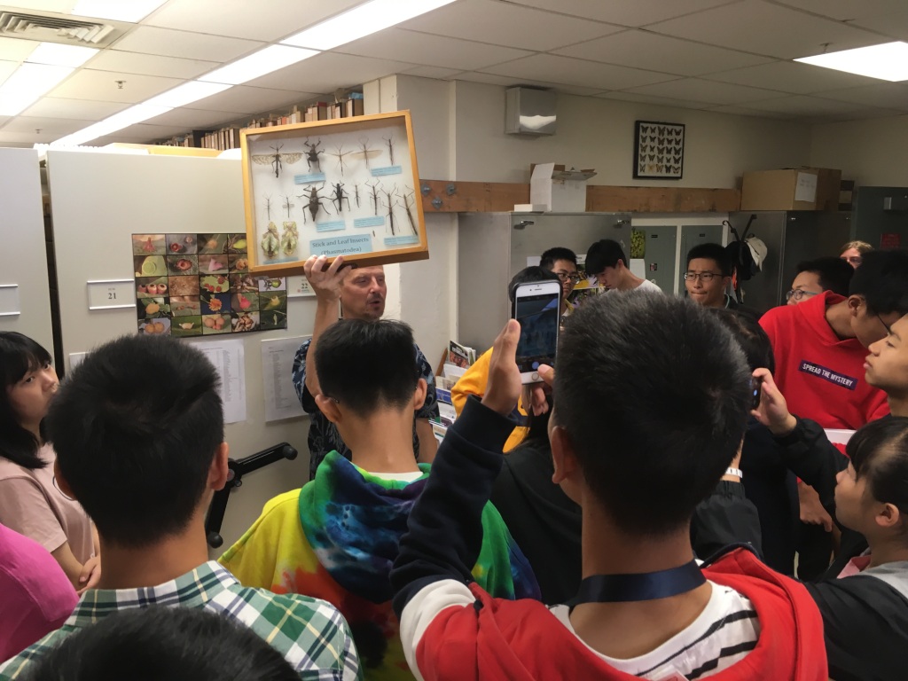 LSI Bio Design Museum of Entomoloty Tours